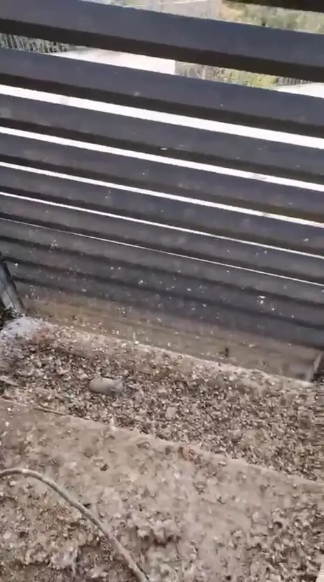 מסתור כביסה מלא בלשלשת יונים לפני ניקוי והתקנת רשת