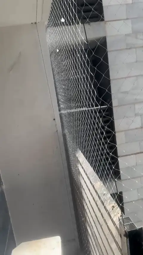 רשת נגד יונים במסתור כביסה פתוח לצד חיפוי אבן